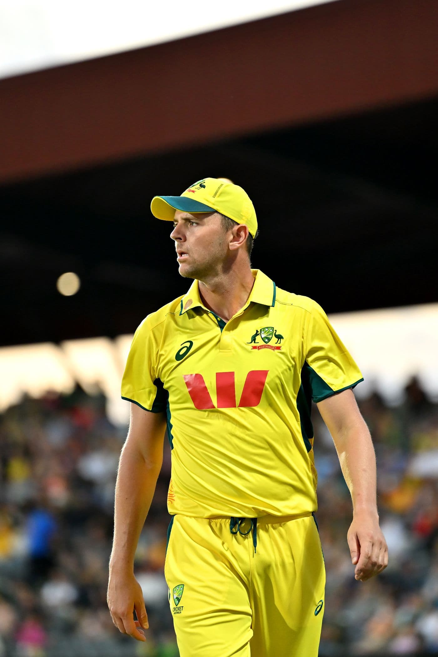 Australia Adjust Bowling Attack Against Zimbabwe