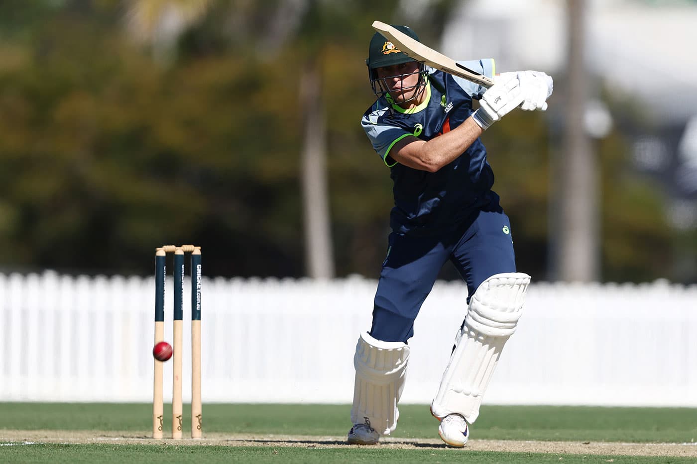 Marnus Labuschagne hits ton in Potchefstroom tour match