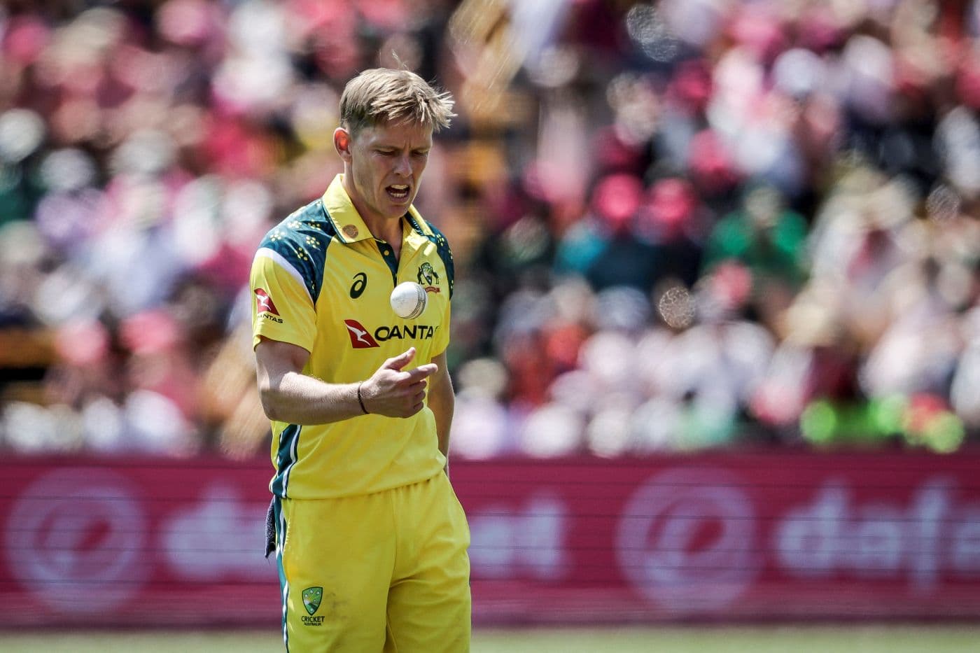 Australia Squad Updates: Ellis and Davies Ruled Out of South Africa Series