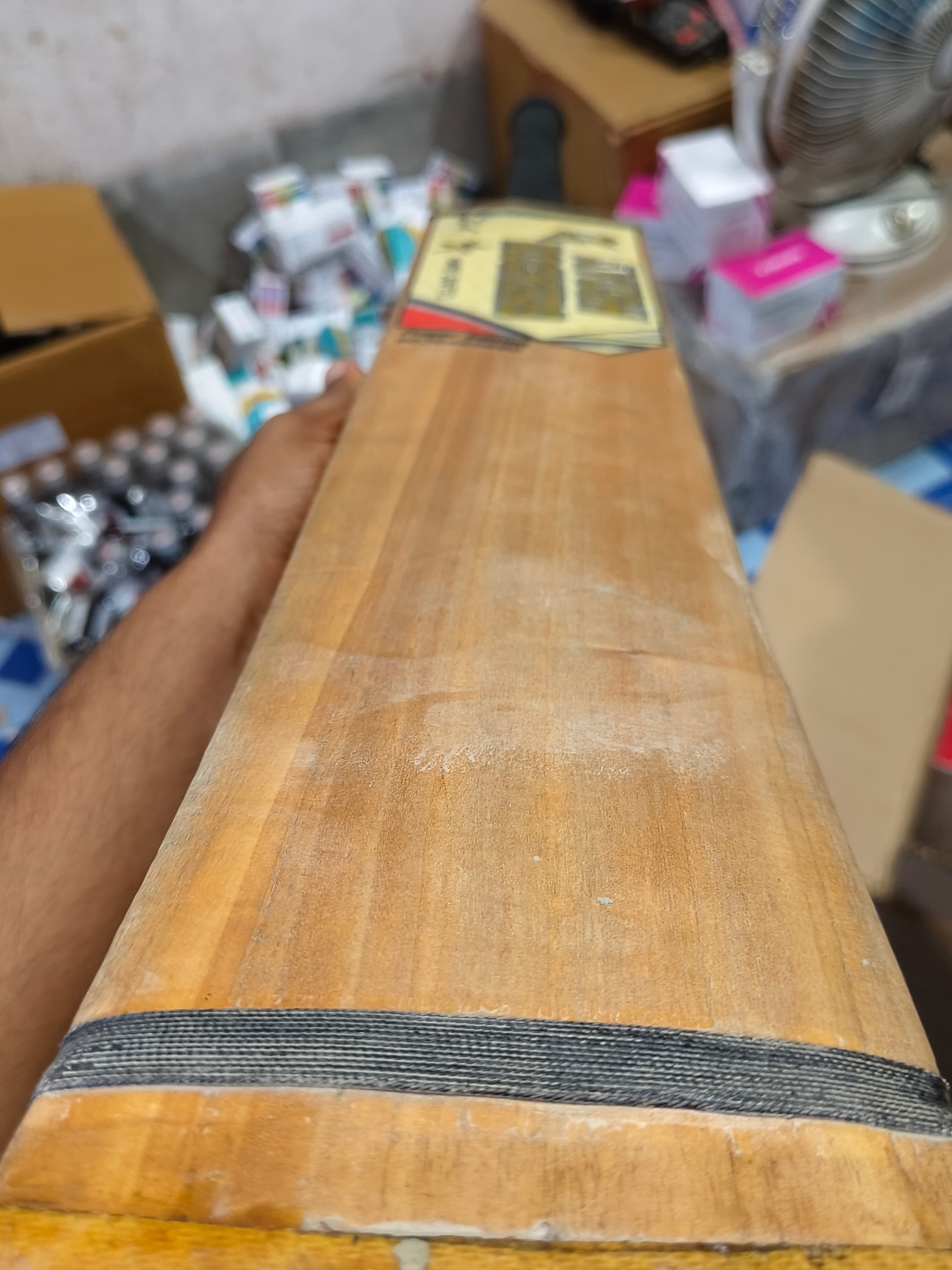 Kasmir Willow